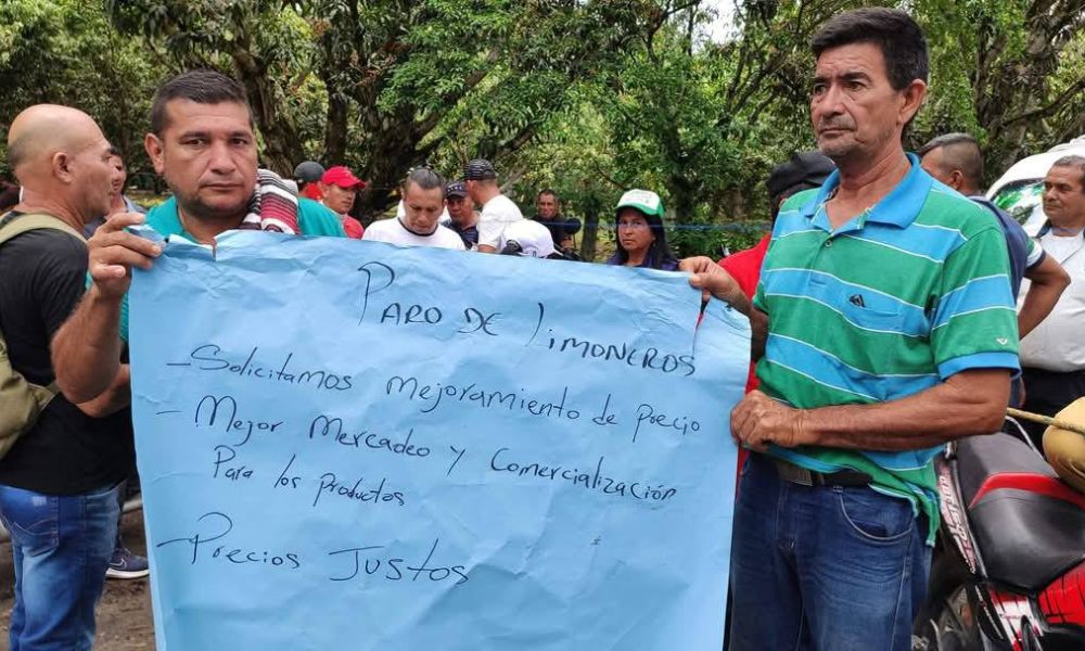 MOVILIDAD TOLIMA Cierres viales en la vía San Luis Guamo por protesta de limoneros