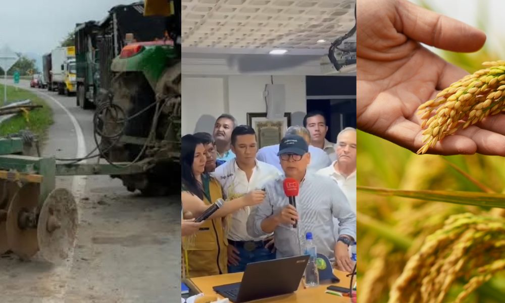 Paro Arrocero en Colombia Se levanta en algunas regiones pero continúa en otras
